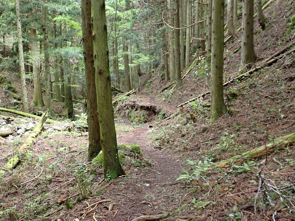 P5111210_mid.jpg