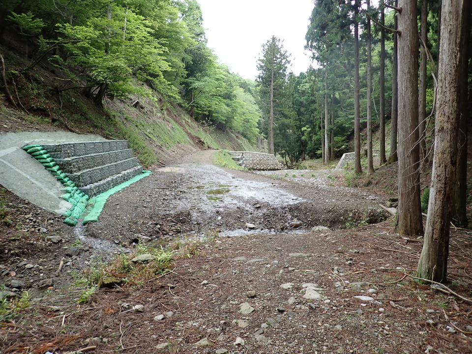 P5111216_mid.jpg
