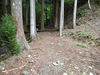 P5111217_thumb.png