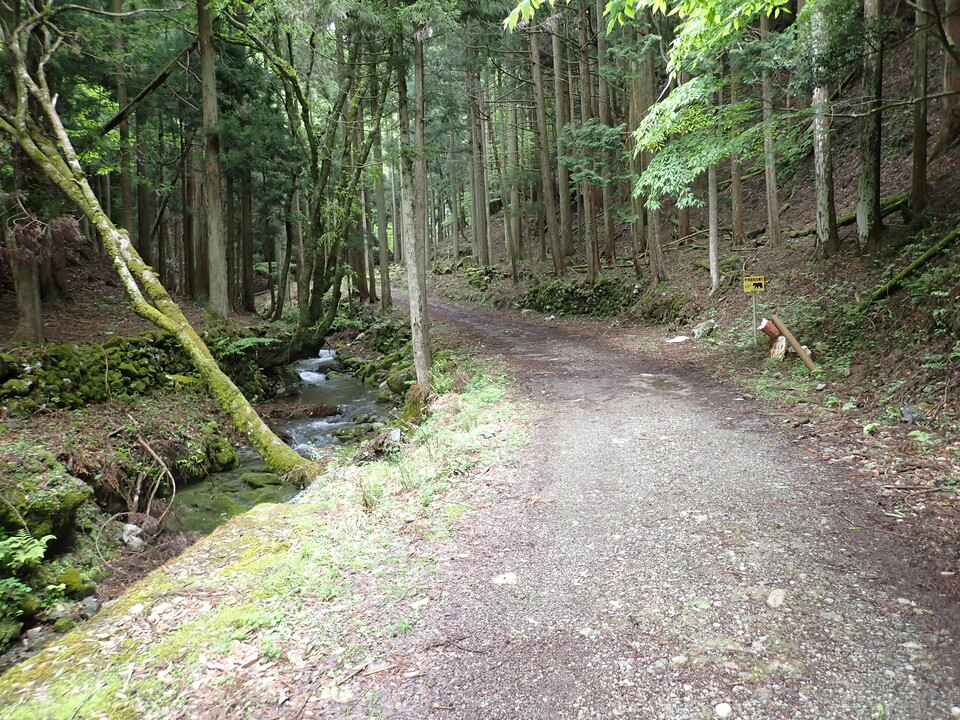 P5111222_mid.jpg