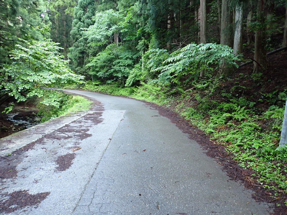 P5281232_mid.jpg
