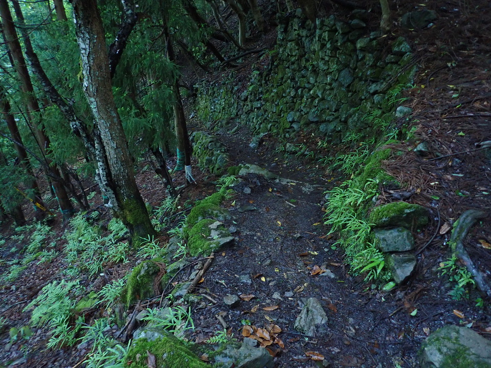 P5281237_mid.jpg