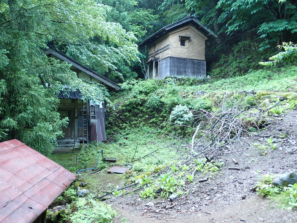 P5281244_mid.jpg