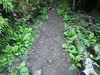 P5281247_thumb.png