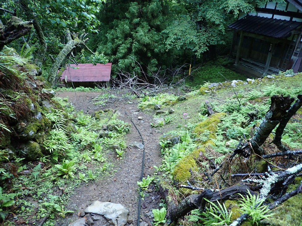 P5281250_mid.jpg