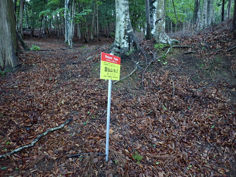 P5281256_mid.jpg