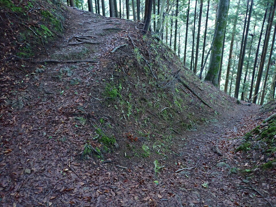 P5281258_mid.jpg