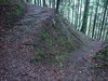 P5281258_thumb.png