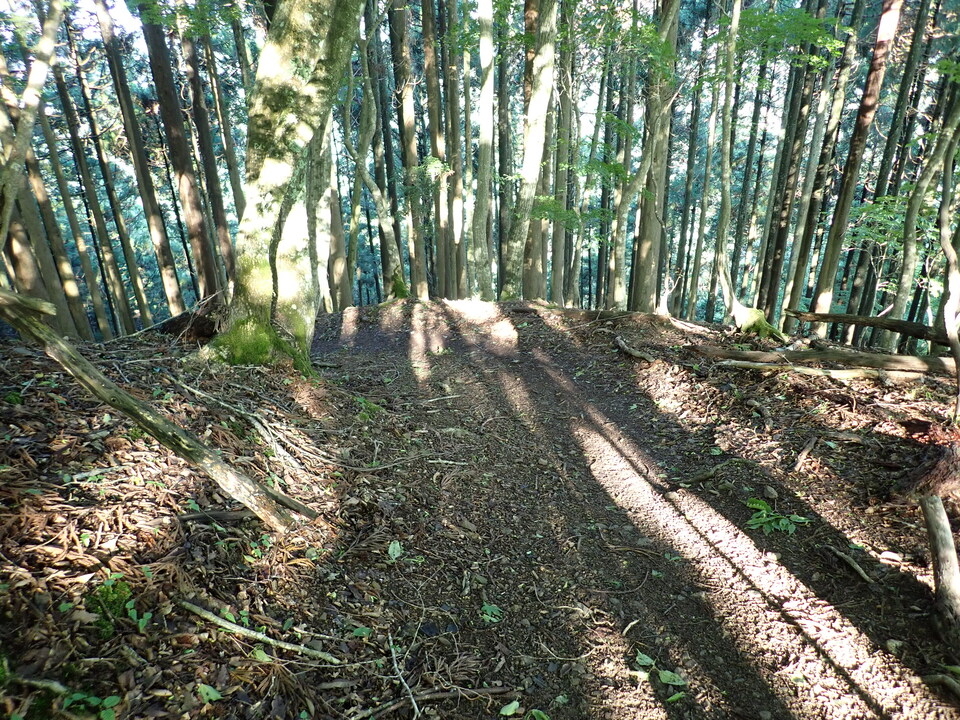 P5281270_mid.jpg