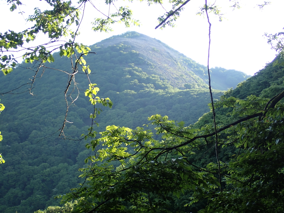 P5281271_mid.jpg