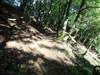 P5281276_thumb.png