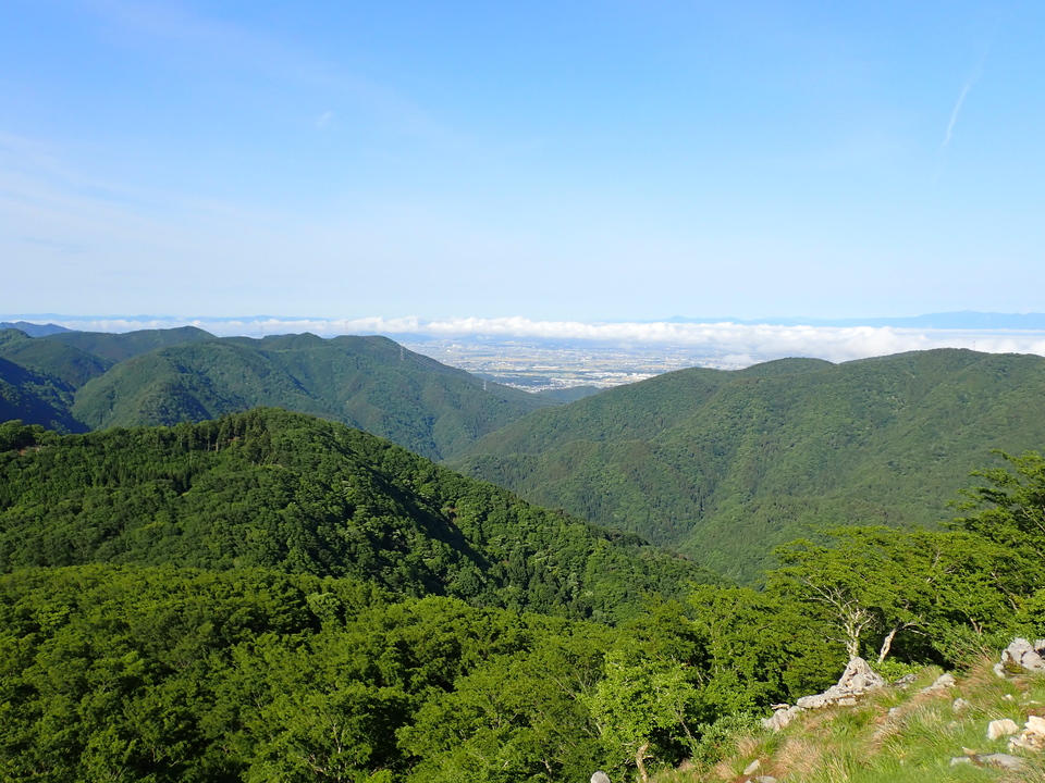 P5281292_mid.jpg