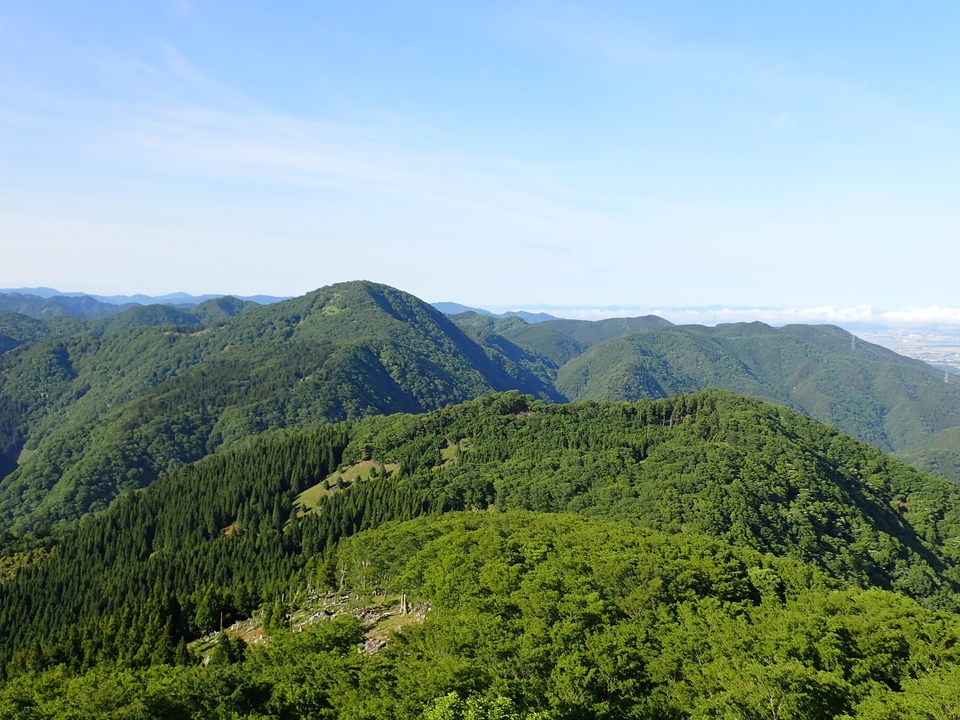 P5281293_mid.jpg