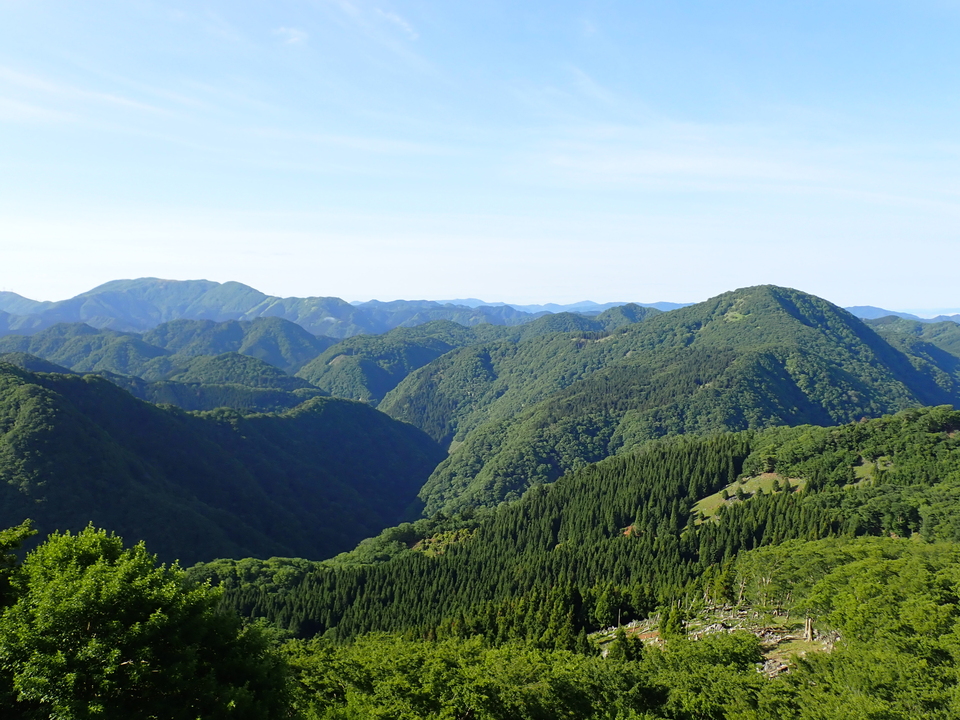 P5281294_mid.jpg