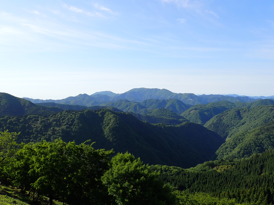 P5281295_mid.jpg
