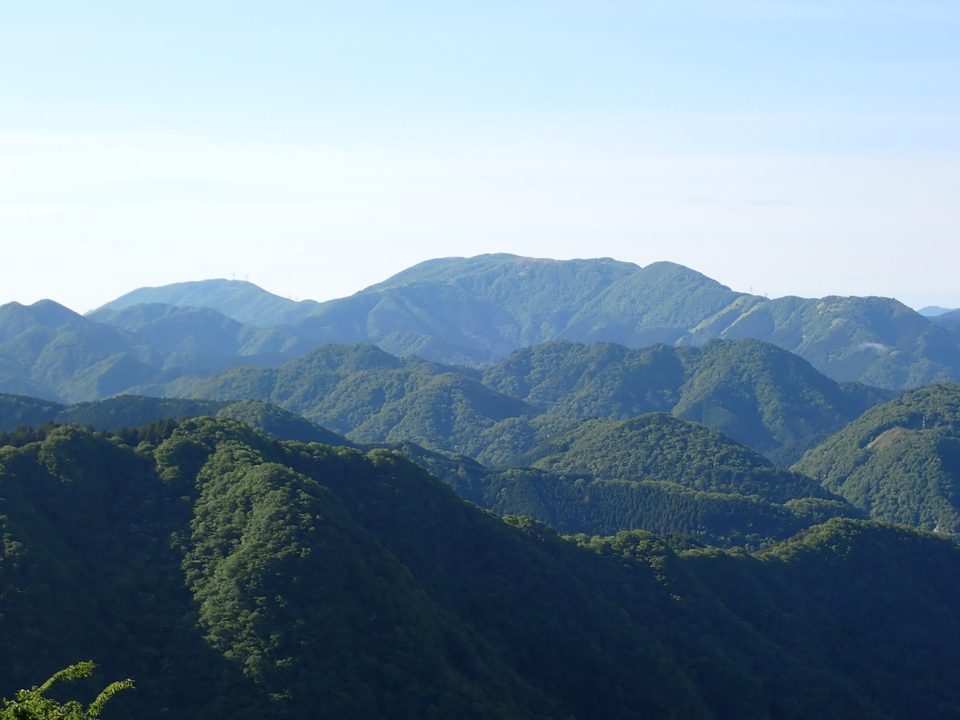 P5281298_mid.jpg