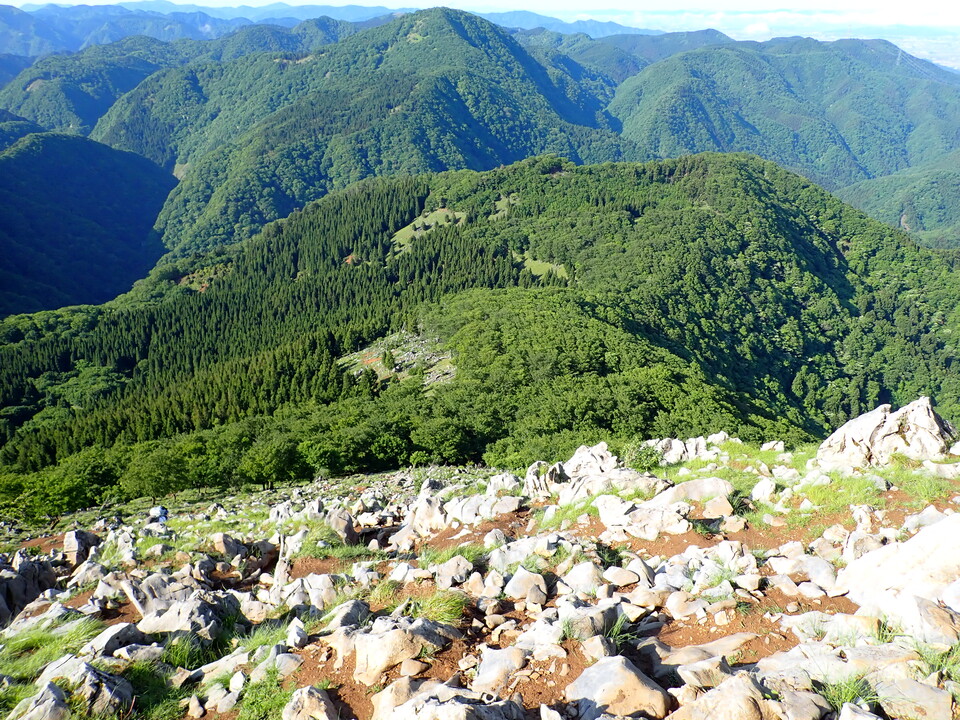 P5281304_mid.jpg