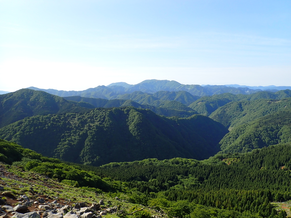 P5281305_mid.jpg
