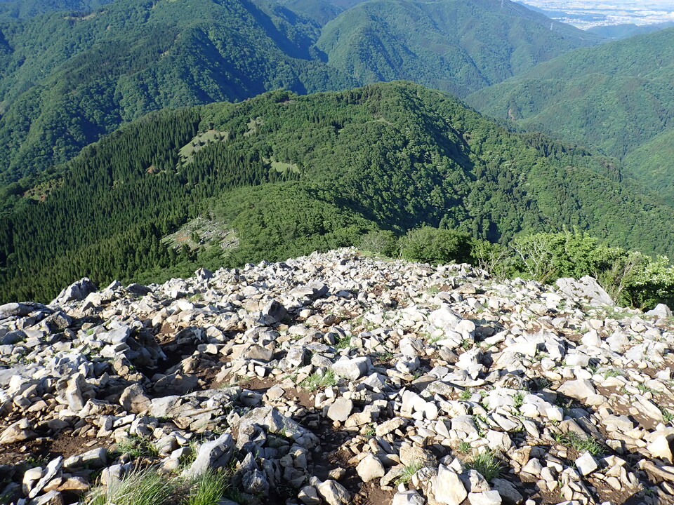 P5281315_mid.jpg