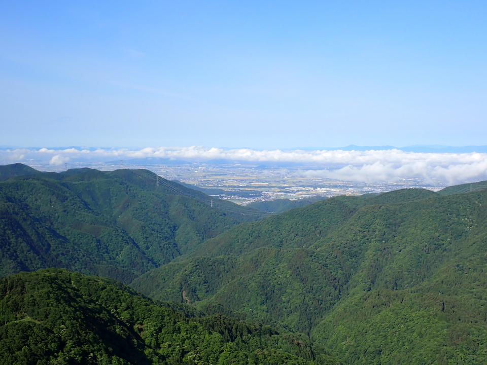 P5281316_mid.jpg