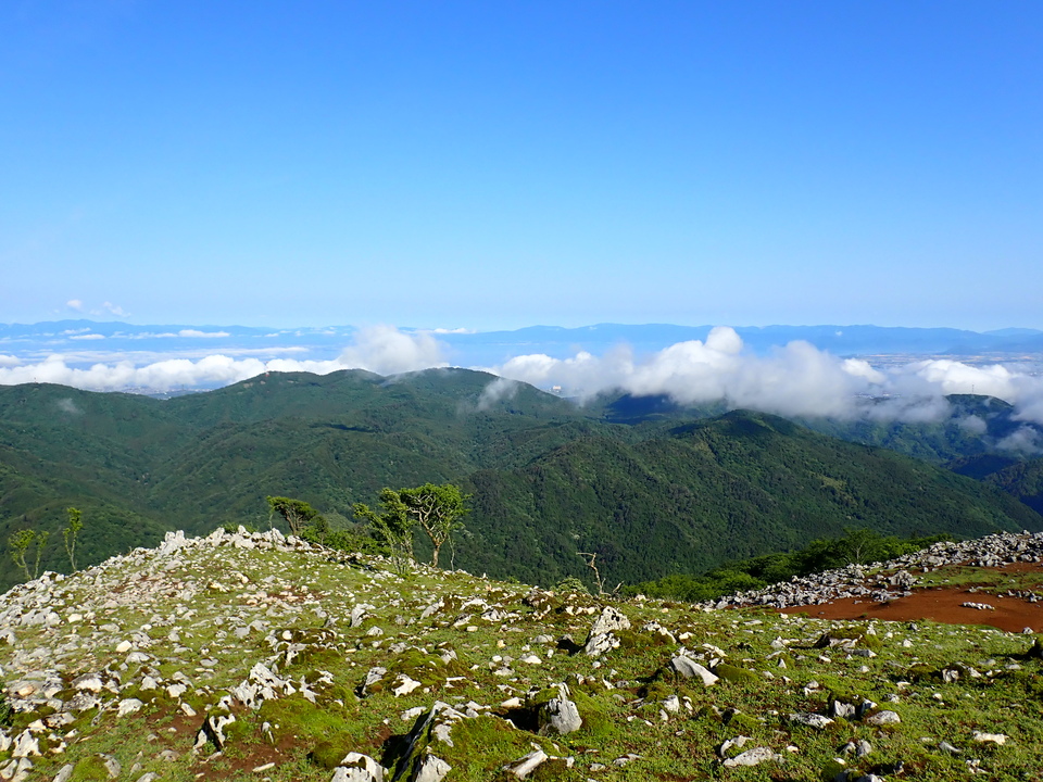 P5281337_mid.jpg