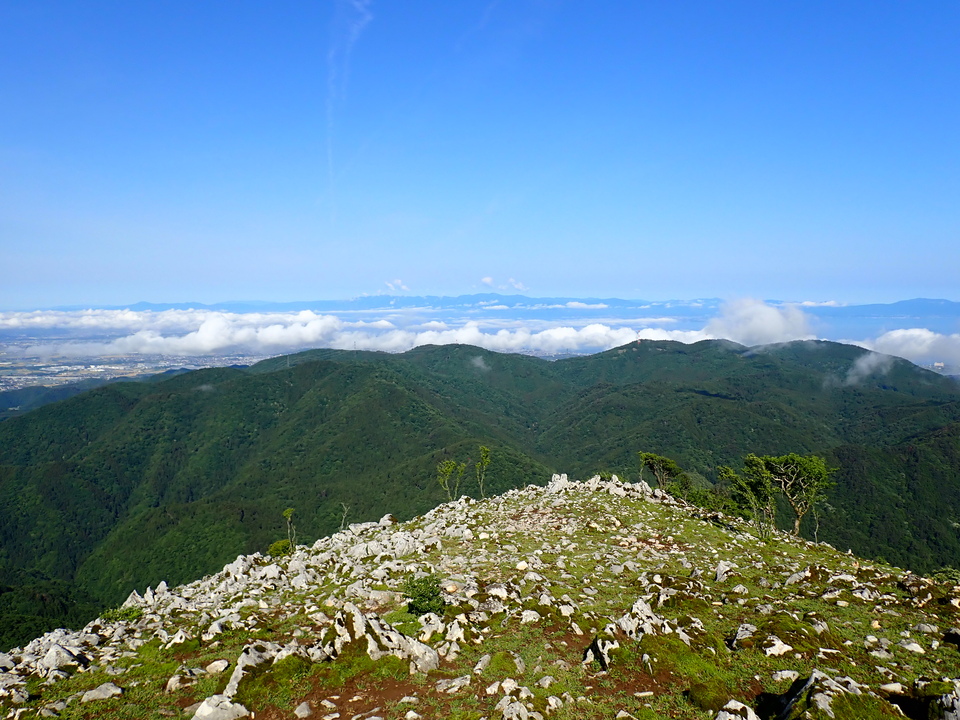 P5281338_mid.jpg