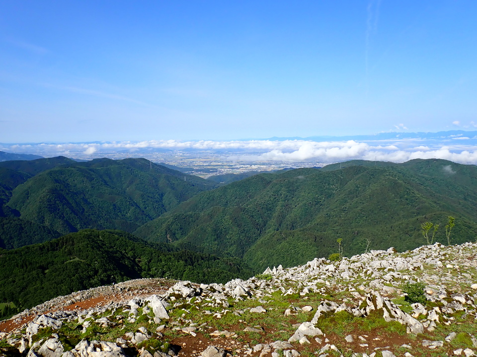 P5281339_mid.jpg