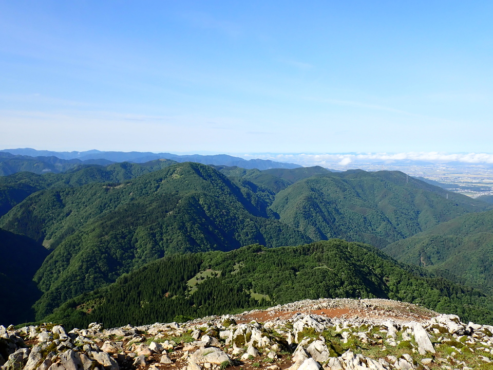 P5281340_mid.jpg