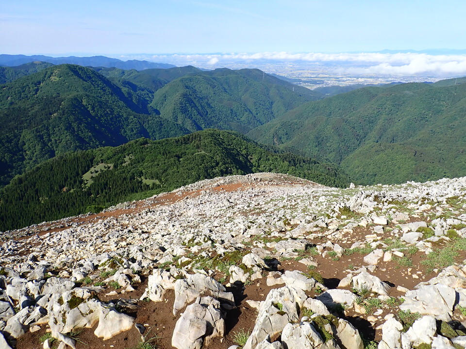 P5281341_mid.jpg