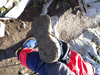 P5281344_thumb.png