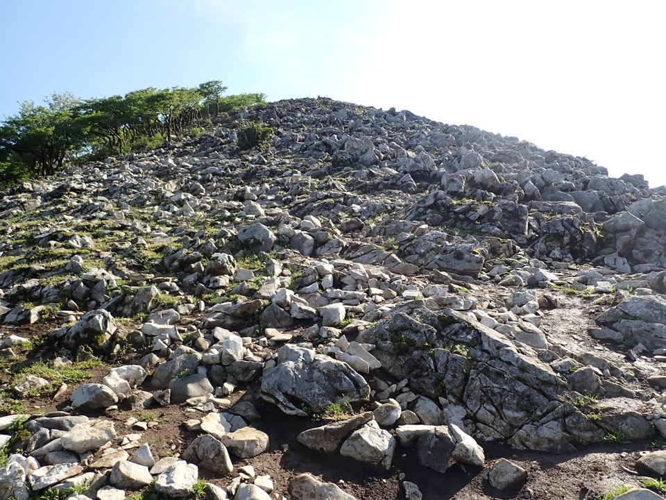 P5281346_mid.jpg