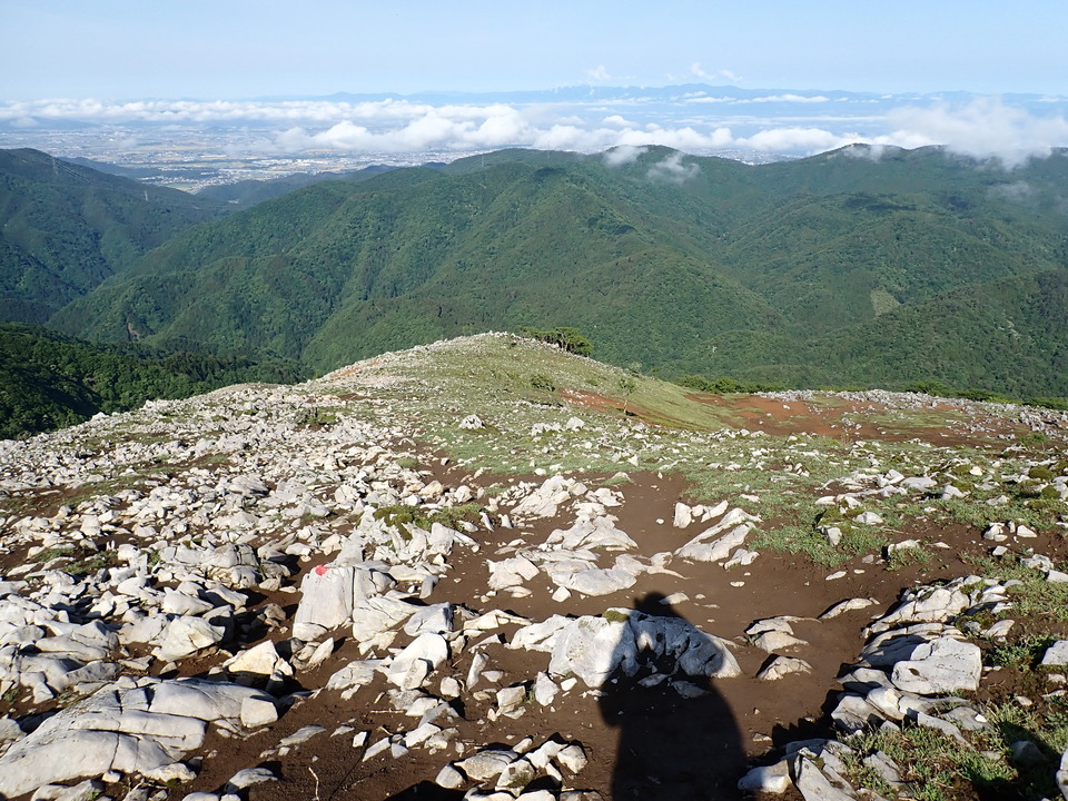 P5281347_mid.jpg