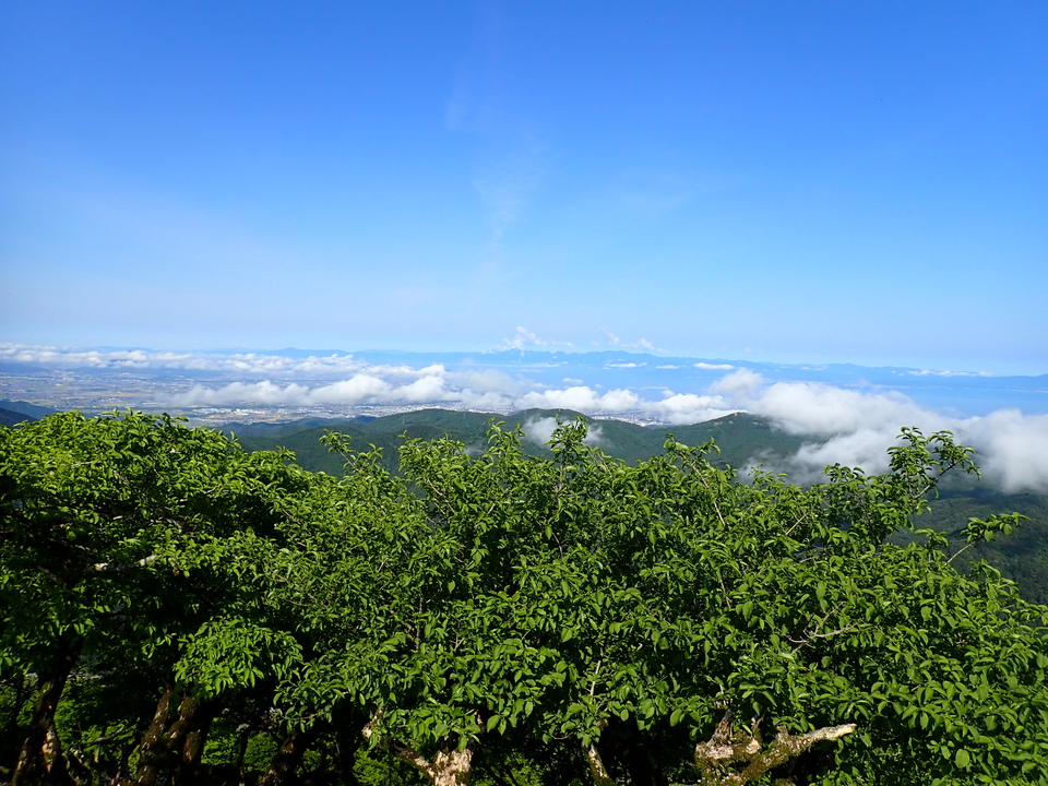 P5281363_mid.jpg