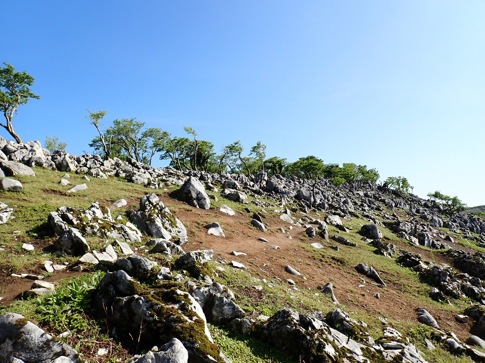 P5281369_mid.jpg