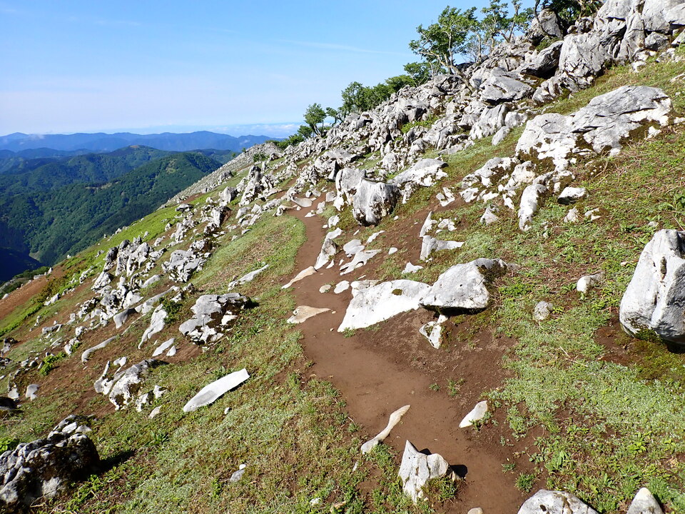 P5281379_mid.jpg