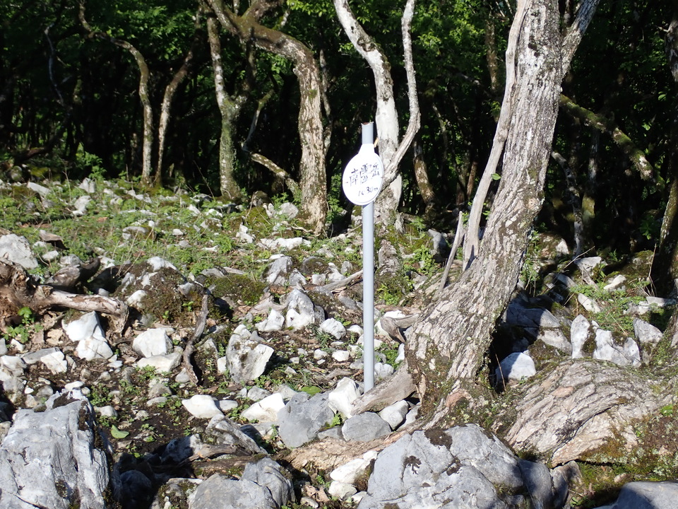 P5281385_mid.jpg