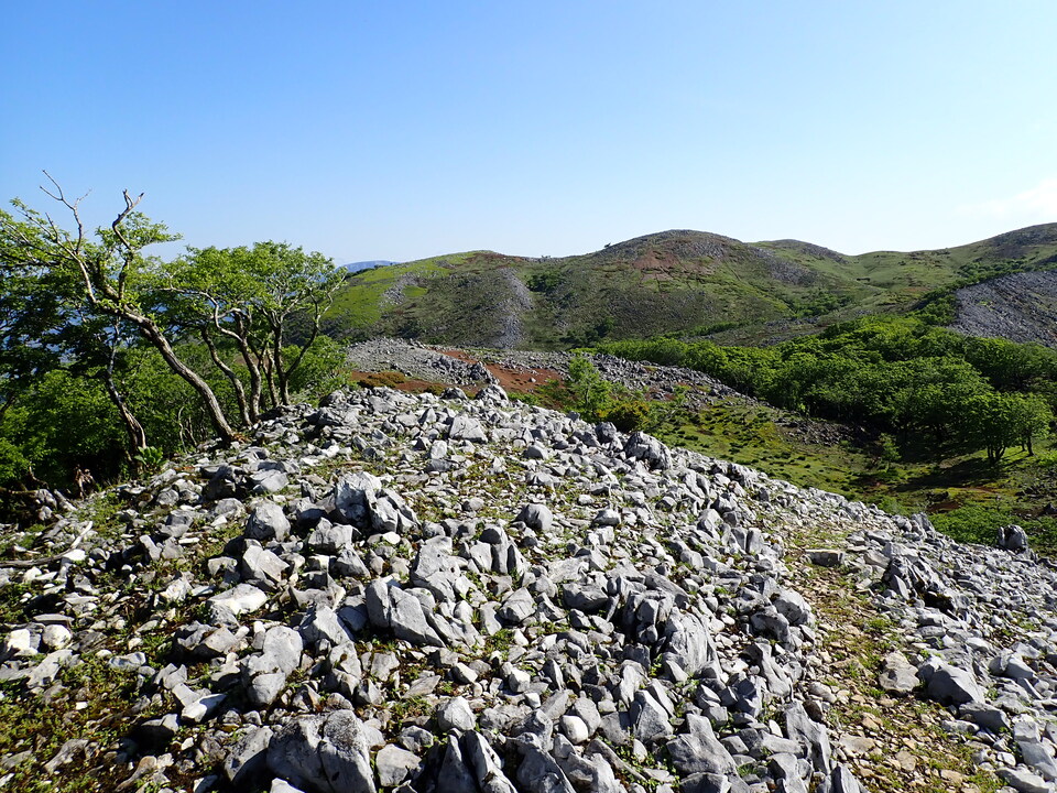 P5281389_mid.jpg