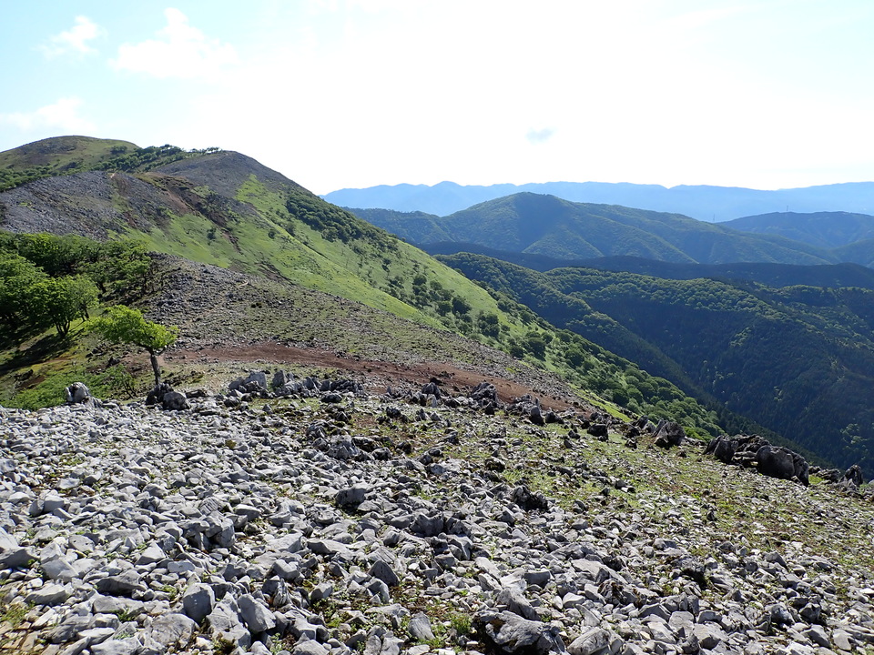 P5281392_mid.jpg