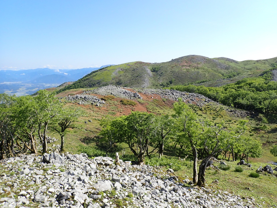 P5281395_mid.jpg