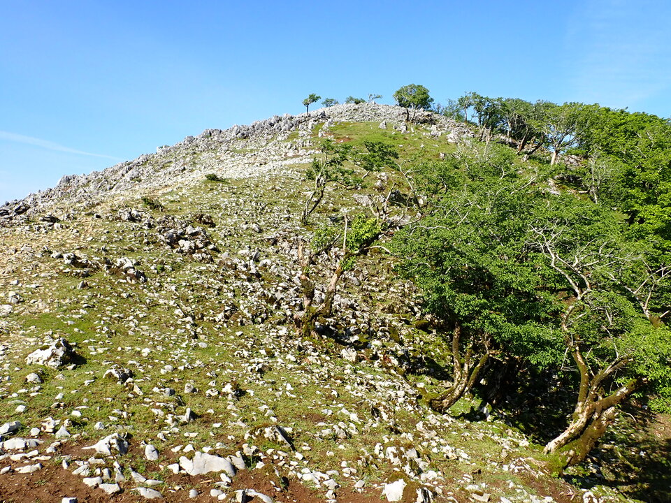 P5281400_mid.jpg