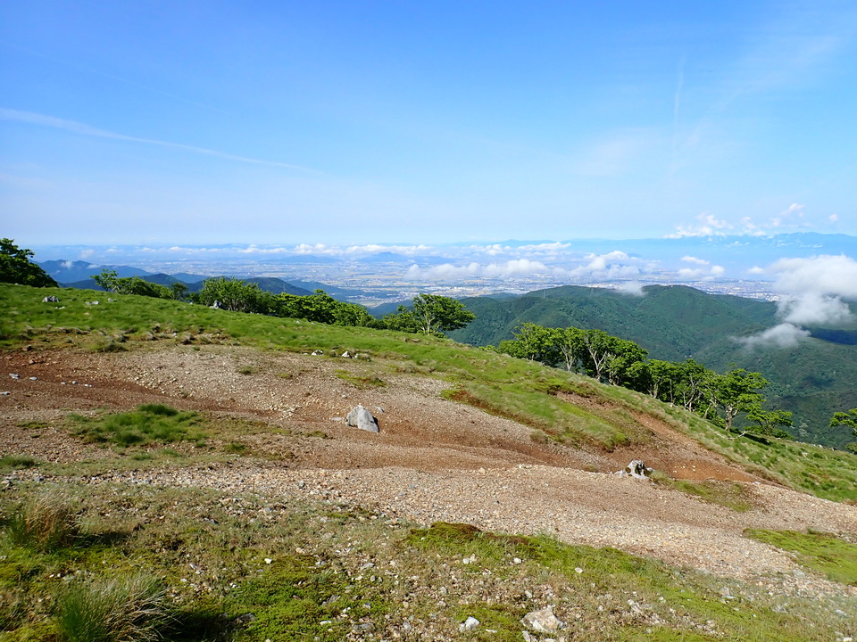 P5281408_mid.jpg