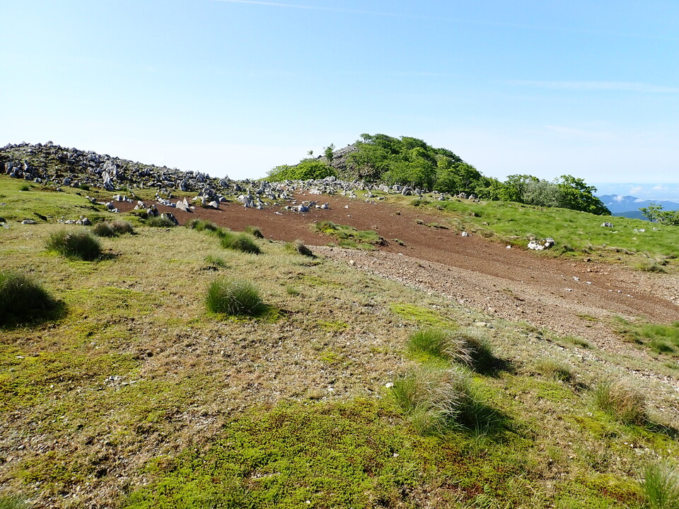 P5281410_mid.jpg