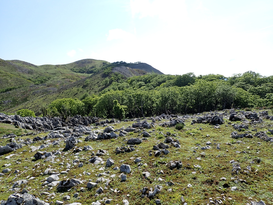 P5281419_mid.jpg