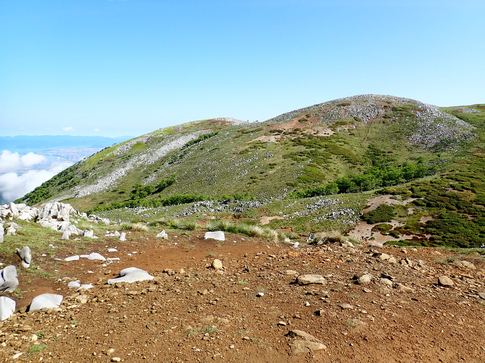 P5281439_mid.jpg