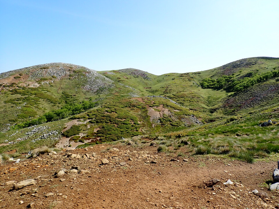 P5281442_mid.jpg