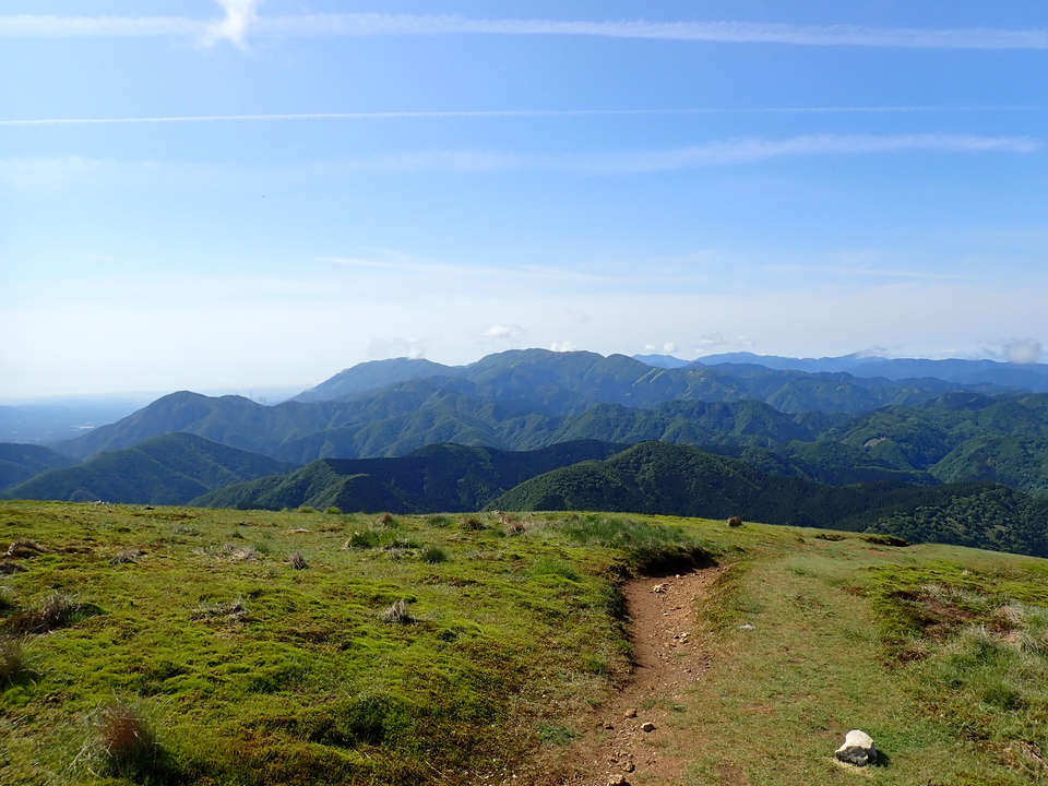 P5281467_mid.jpg