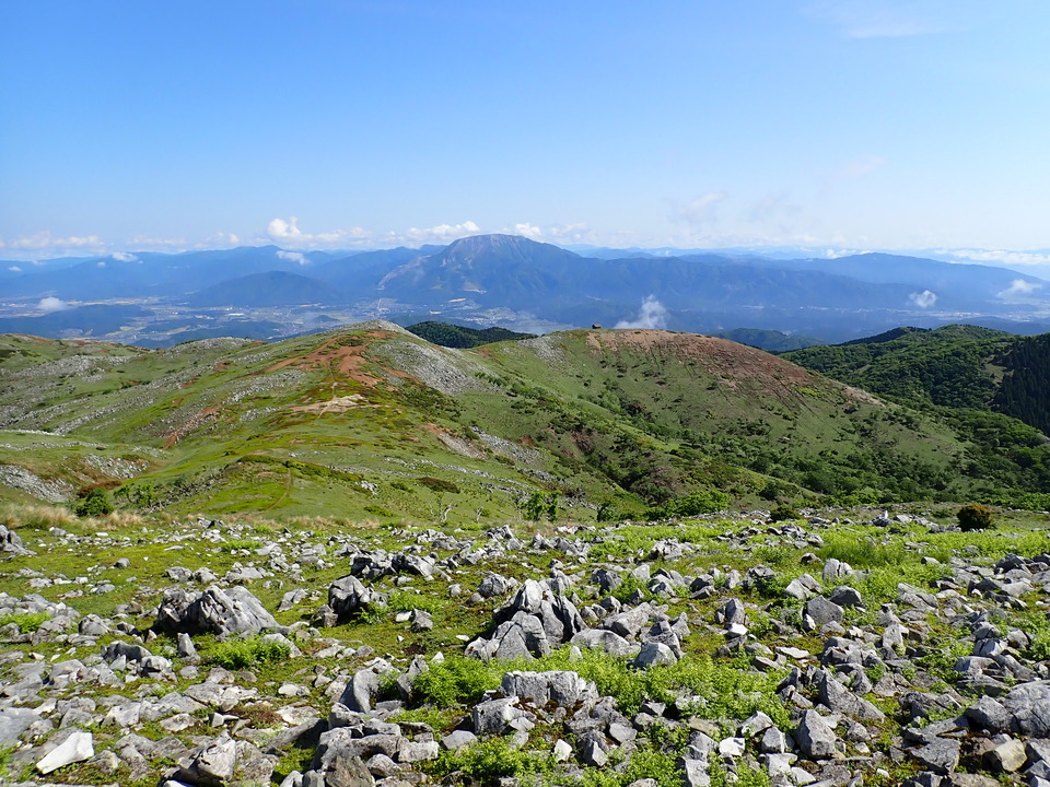 P5281476_mid.jpg