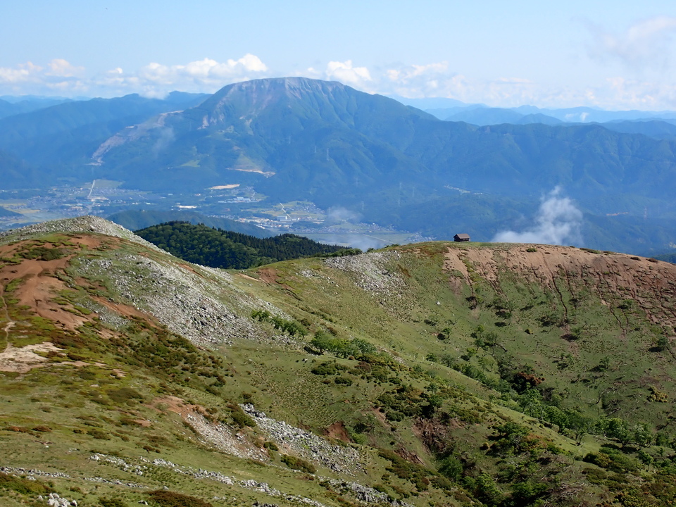 P5281478_mid.jpg