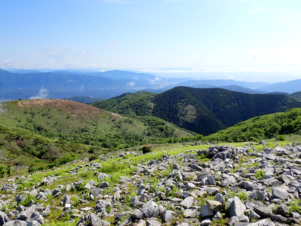 P5281480_mid.jpg