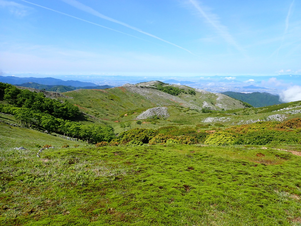 P5281490_mid.jpg